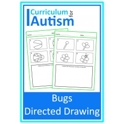 Bugs Directed Drawing Worksheets